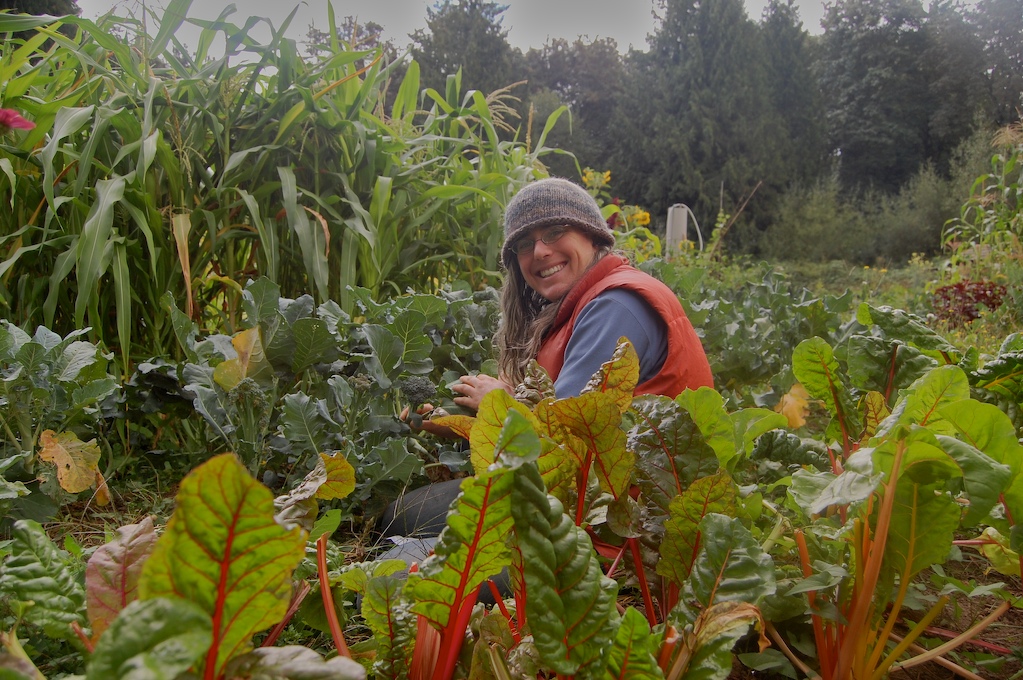 Jenny harvesting in the garden